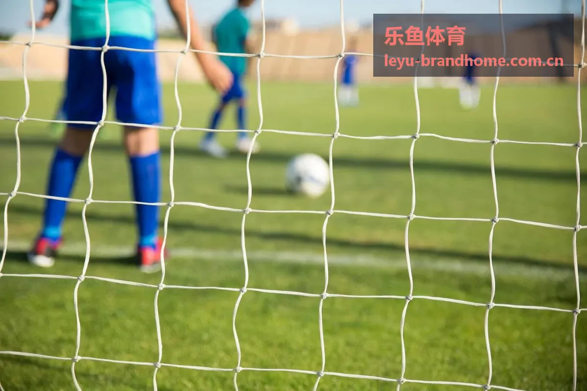 乐鱼体育新闻封面图三